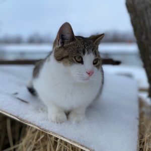 Meet your Posher, Jillian